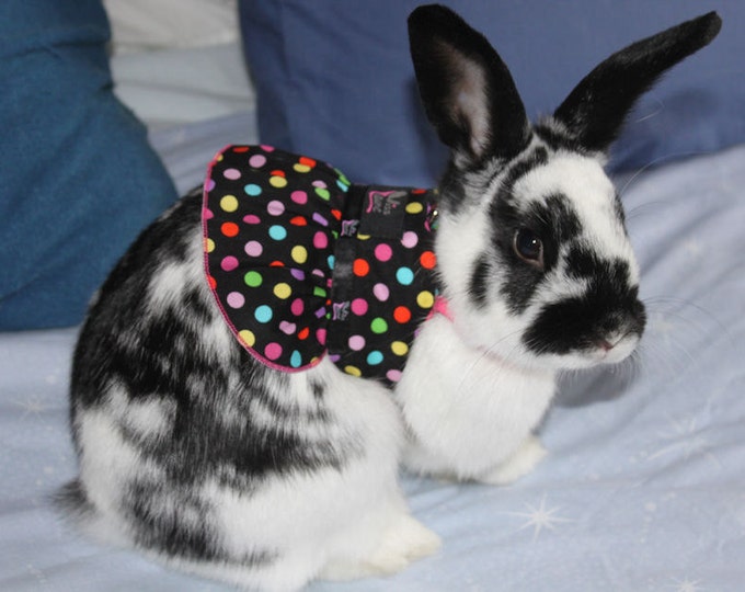 Pet Rabbit Harness Dress With Dring Attachment for a Leash . Made to