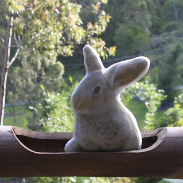 Stuffed bunny rabbit toy . Really cute and cuddly, perfect gift for newborn baby , kids  and adults  .