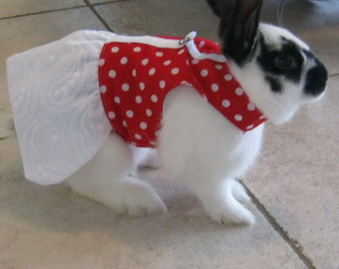 Pet Rabbit Harness Dress . Made to Order Etsy