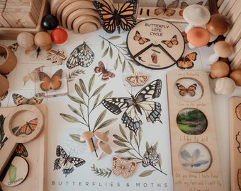 Butterflies Moths Art Print A3, Nature, Educational Poster, Playroom, Nursery, Bee, Kids Rooms