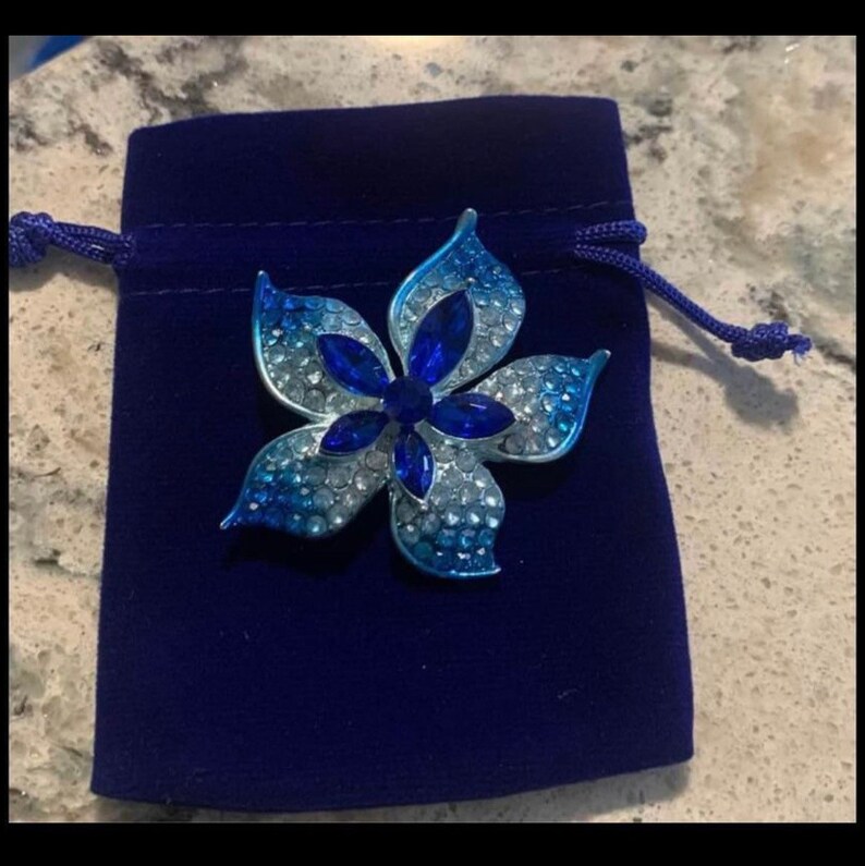Pu&ograve; includere: Un fermaglio a forma di fiore blu e bianco con strass e cristalli blu. Il fermaglio &egrave; in una pochette di velluto blu.