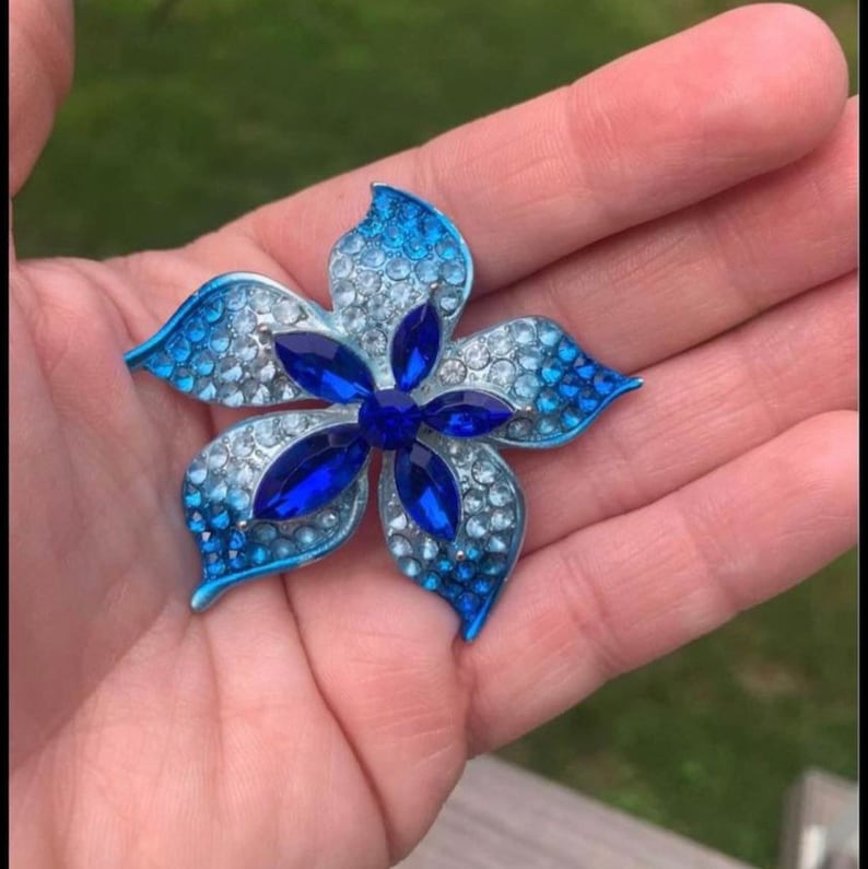 Pu&ograve; includere: Un fermaglio a forma di fiore blu e bianco con dettagli in strass blu.