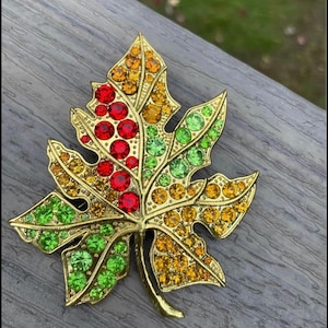 May include: A gold-tone brooch in the shape of a maple leaf, decorated with red, green, and orange rhinestones.