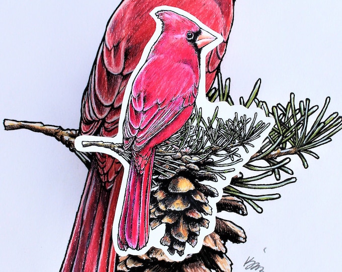 Northern Cardinal. Sticker, Decal, Bird, Red, Male, Kirk Timmons, Angle, Bird, R.I.P.