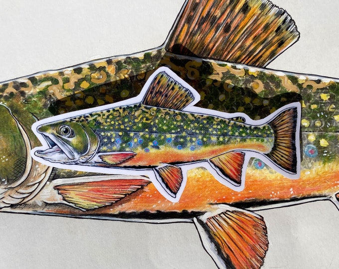 Brook Trout (Vinyl Sticker)