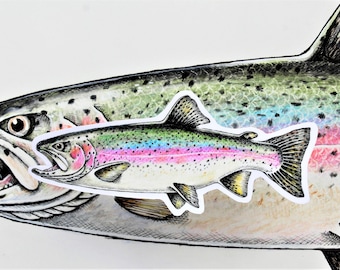Sticker, Decal, Fish, Rainbow, Trout, Steelhead, Water Resistant, Fishing, Freshwater, Kirk Timmons