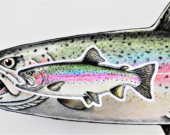 Rainbow Trout (Vinyl Sticker)
