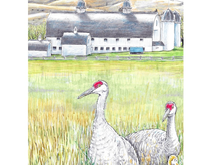 DH Day Farm (Sandhill Cranes), Art Print