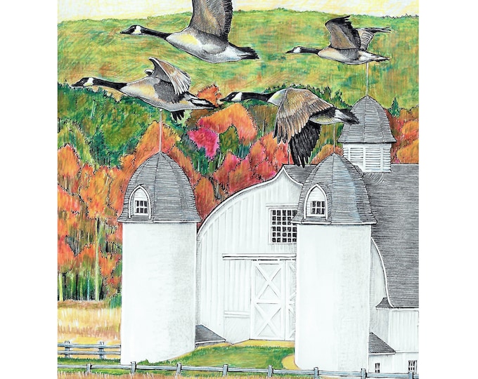 DH Day Farm (Canadian Geese), Art Print