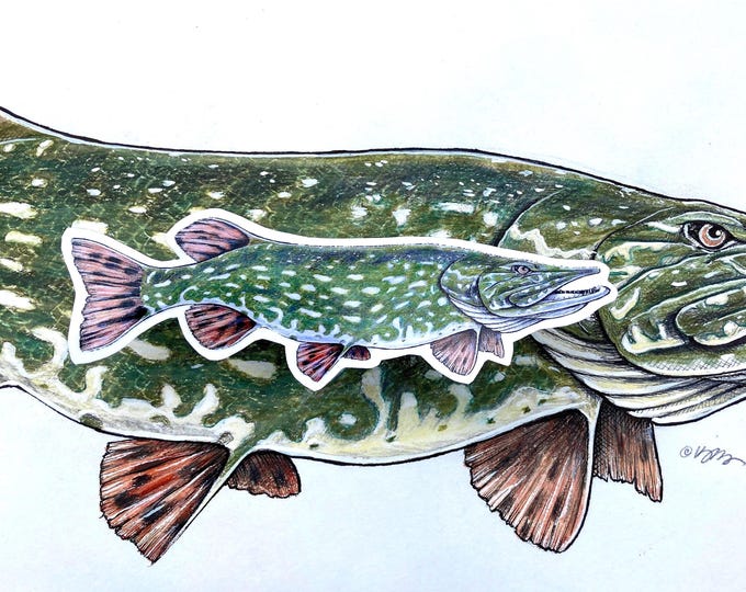 Northern Pike (Vinyl Sticker)