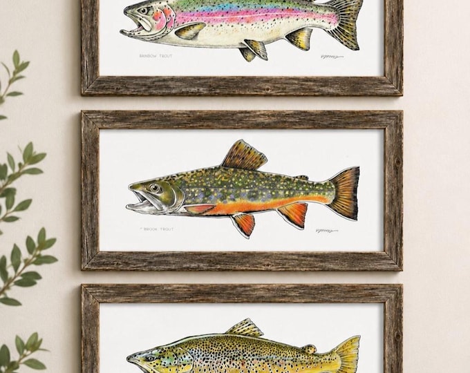 Trout Collection Art Prints