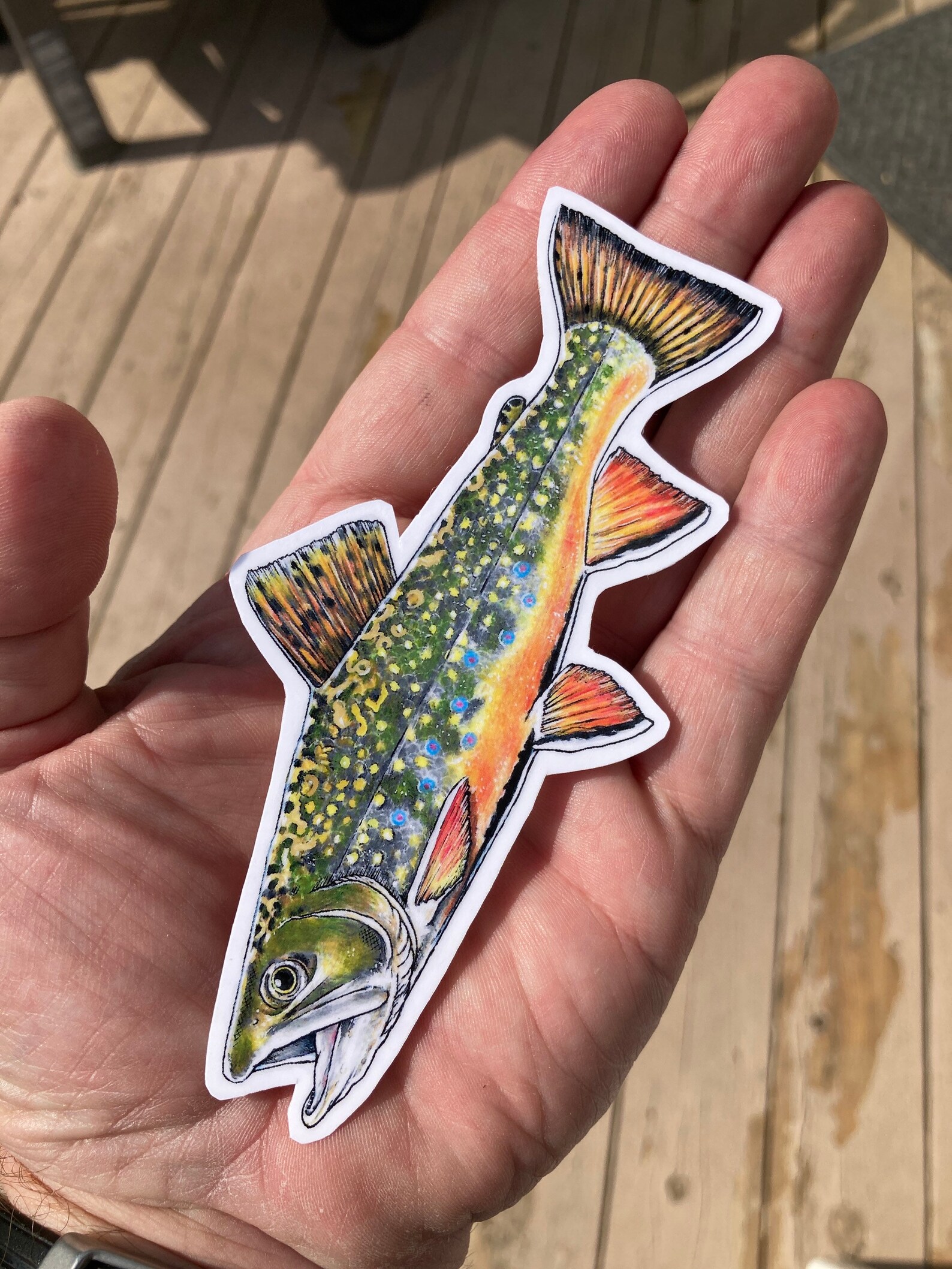 Brook TroutStickerDecalVinylLaminate Etsy