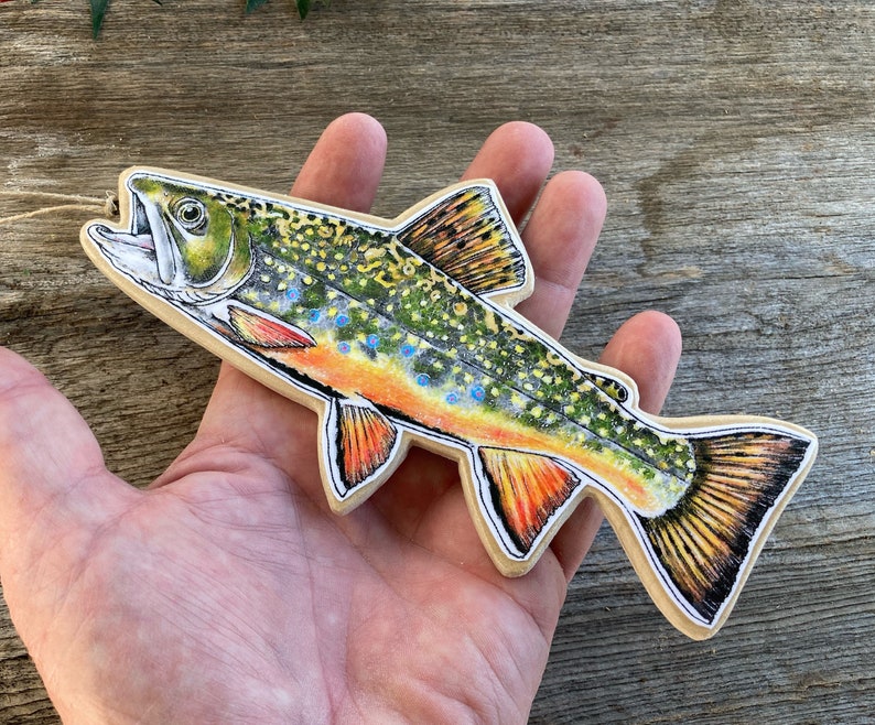 Fish Ornamentsbrook Troutbasswalleyerainbow Troutnorthern Etsy