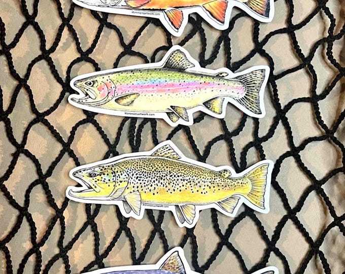 Trout Sticker Collection, Vinyl Decal, Brook, Brown, Rainbow, Lake, Trout, Water Bottle, Tackle Box, Laptop, Hand Drawn, Fisherman, Gift