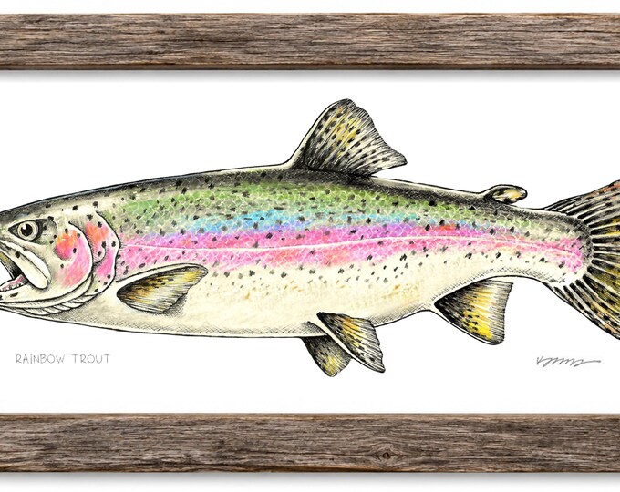 Rainbow Trout Art Print