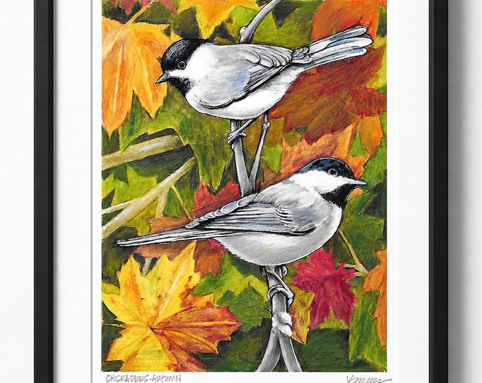 Black-Capped Chickadee Print