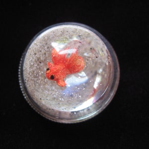 Unisex verstellbarer Kuppelring, orangefarbener Fisch auf einem Hintergrund aus bewegtem Sand in einer Plexiglas-Halbkugel mit einem Durchmesser von 30 mm, einzigartige Kreation