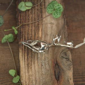 May include: A silver bird skull pendant necklace on a wooden background with green leaves.