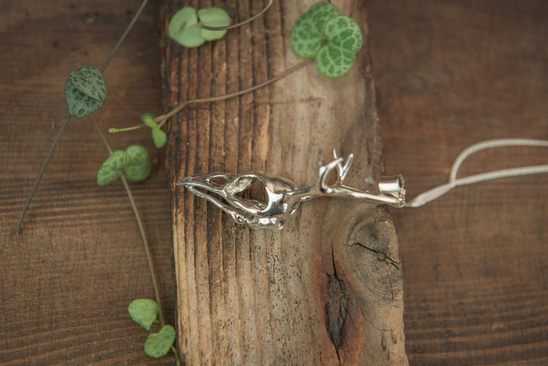 May include: A silver bird skull pendant necklace on a wooden background with green leaves.