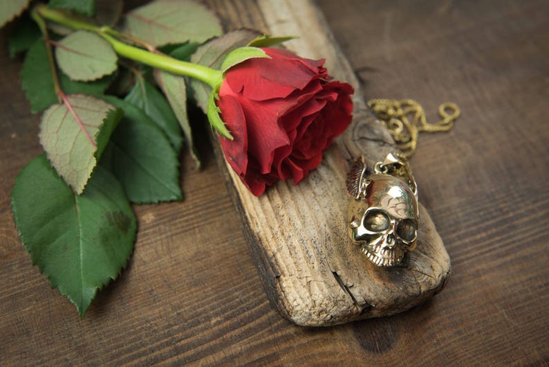 May include: A single red rose with green leaves lies on a piece of weathered wood. A gold skull pendant hangs from a chain on the wood.