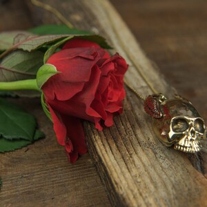 May include: A red rose with green leaves lies on a piece of weathered wood. A gold skull pendant with a red stone hangs from a chain.