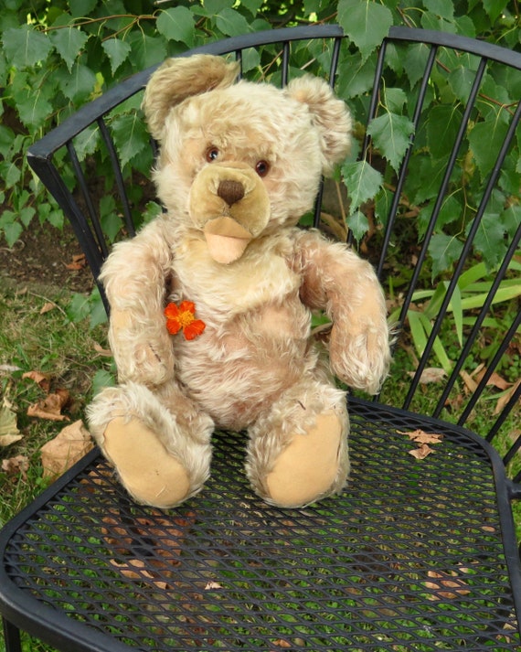 20 inch teddy bear