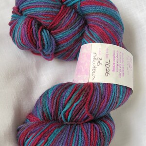 Lorna&#39;s Laces Shepherd Sock variegated wool blend yarn handdyed in Newtown