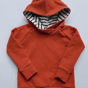 May include: A rust-colored hooded sweatshirt with a black and white striped lining on the hood.
