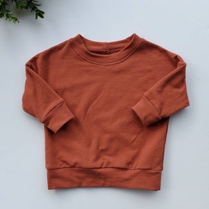 May include: A rust-colored crew neck sweatshirt with long sleeves. The garment has a simple, minimalist design, with a ribbed hem and cuffs. The sweatshirt is made of a soft, solid-colored fabric, suitable for casual wear.