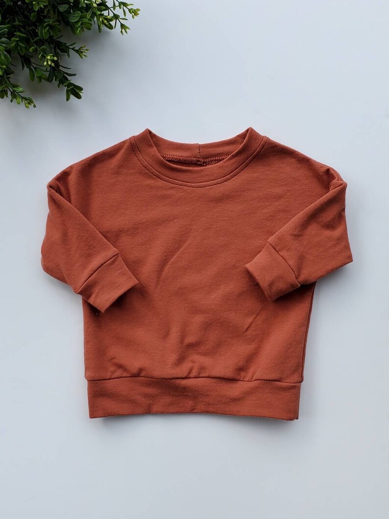 May include: A rust-colored crew neck sweatshirt with long sleeves. The garment has a simple, minimalist design, with a ribbed hem and cuffs. The sweatshirt is made of a soft, solid-colored fabric, suitable for casual wear.