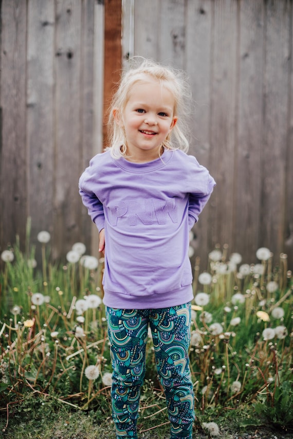 Purple Crewneck, sweatshirt, Plain Crewneck sweatshirt, Dolman Sweatshirt, sweatshirt, crewneck, kids crewneck, kids, PNW, pnw crewneck
