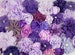 Fabric Flowers | Flower Grab Bag | Wholesale Bulk Flowers | Purple Lilac Lavender 