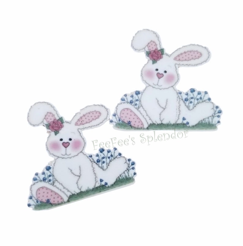 Peter Rabbit for DIY 2 Pack Plastic Flatback Planar Resin Embellishment Peter Rabbit for DIY 2 Pack Plastic Flatback Planar Resin Embellishment