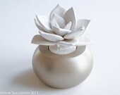 Items similar to Succulent Sculpture with Interchangeable Planter