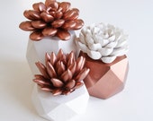 Copper Succulent Indoor Copper Planter Geometric Set Succulent Gift Modern Home or Office Decor