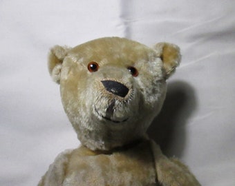 vintage steiff bear