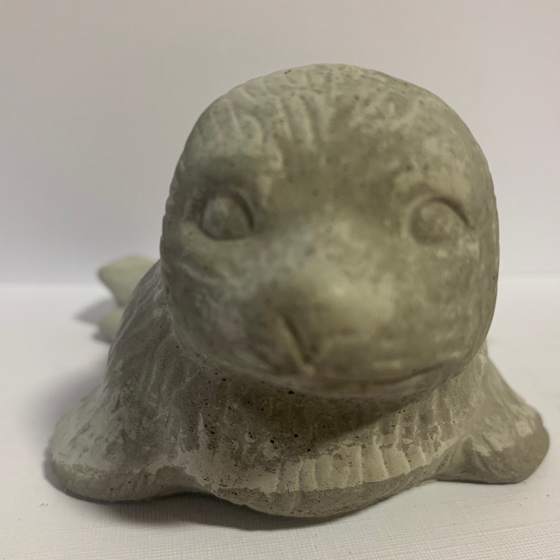 Seal Garden Statue Concrete Seal Adorable 5 Long Cement Etsy