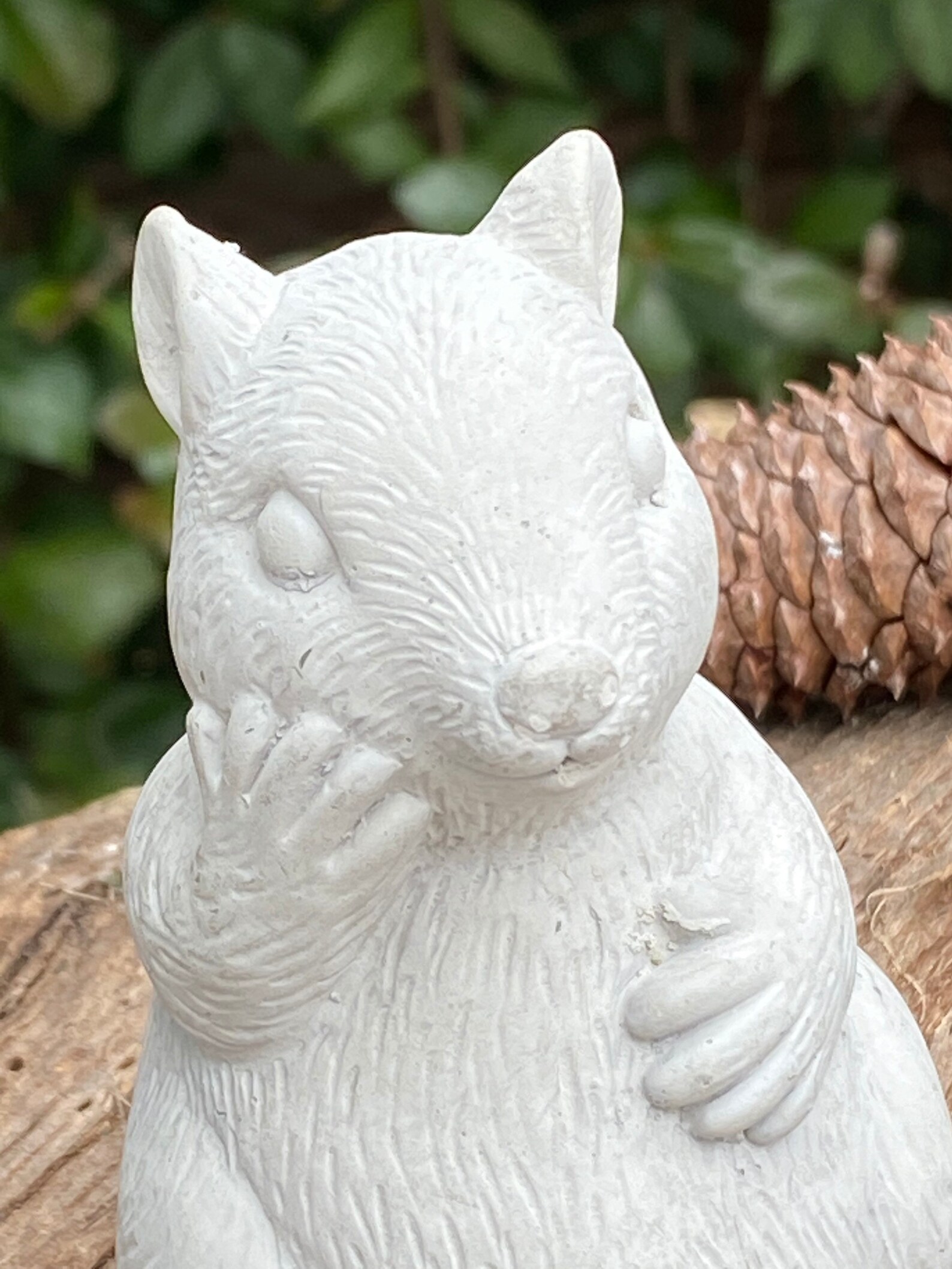 Squirrel Garden Statue Concrete Chubby Squirrel 3 3/4 Tall Etsy