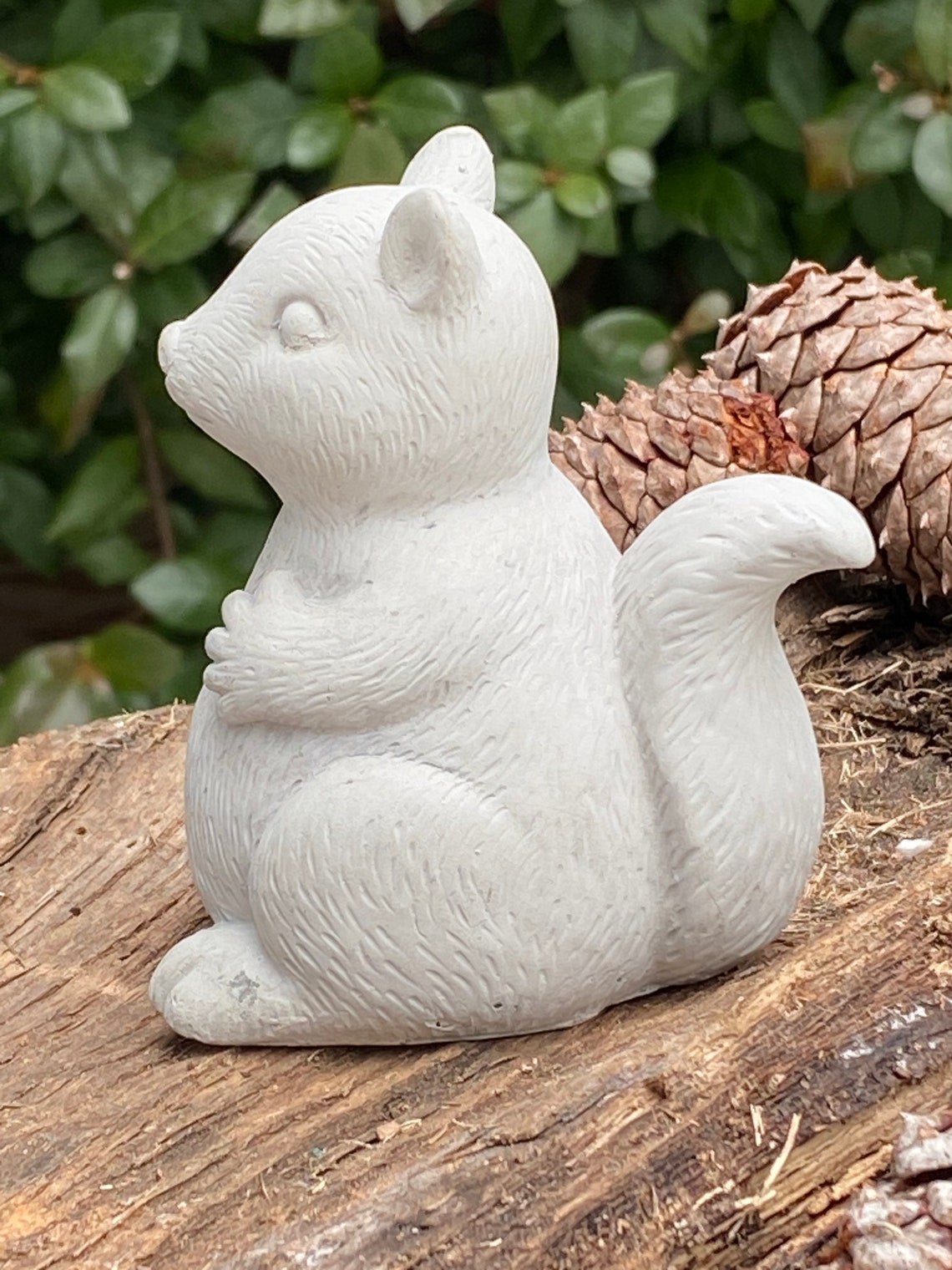 Squirrel Garden Statue Concrete Chubby Squirrel 3 3/4 Tall Etsy