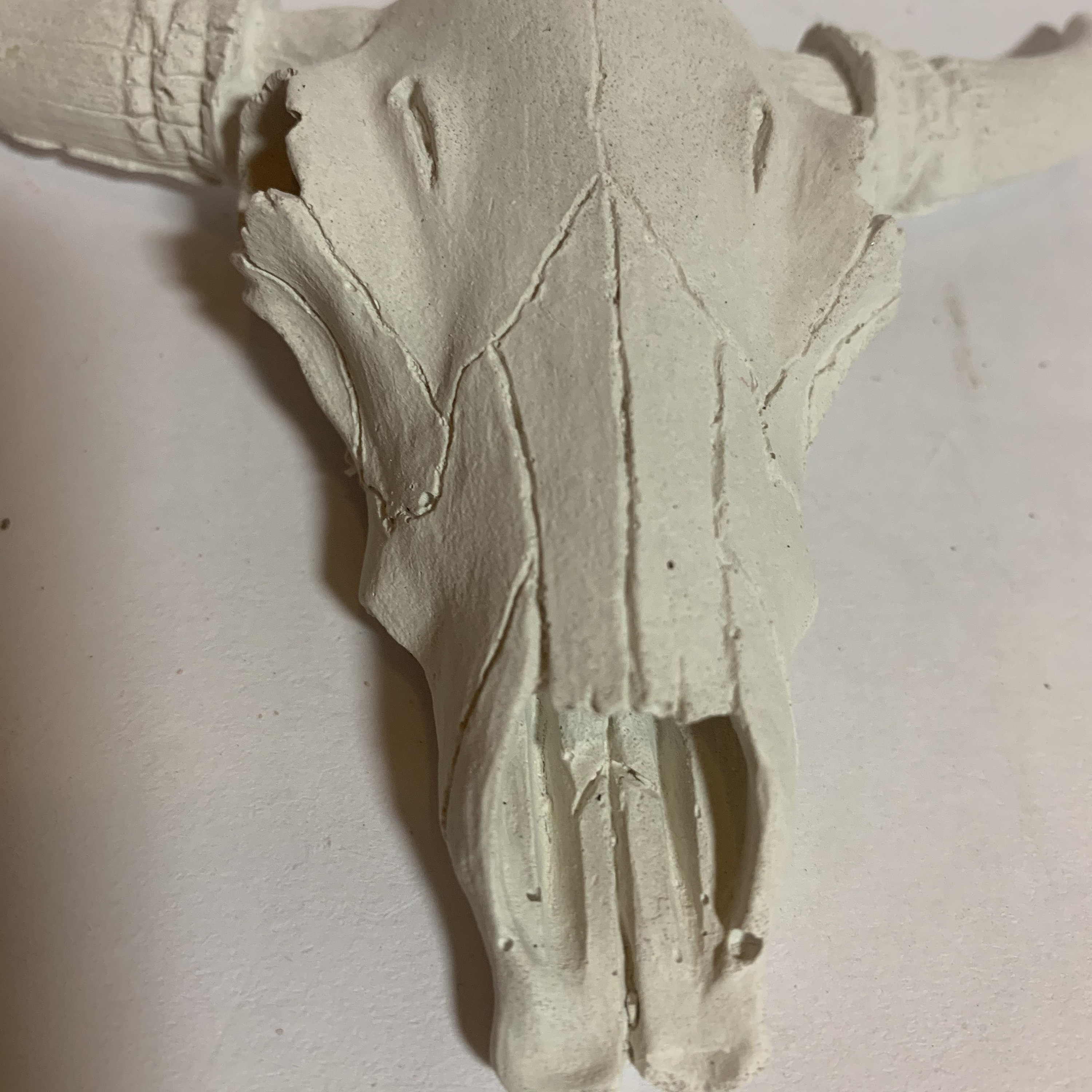 Concrete cow steer skull longhorn cement skull 5 wide horn Etsy