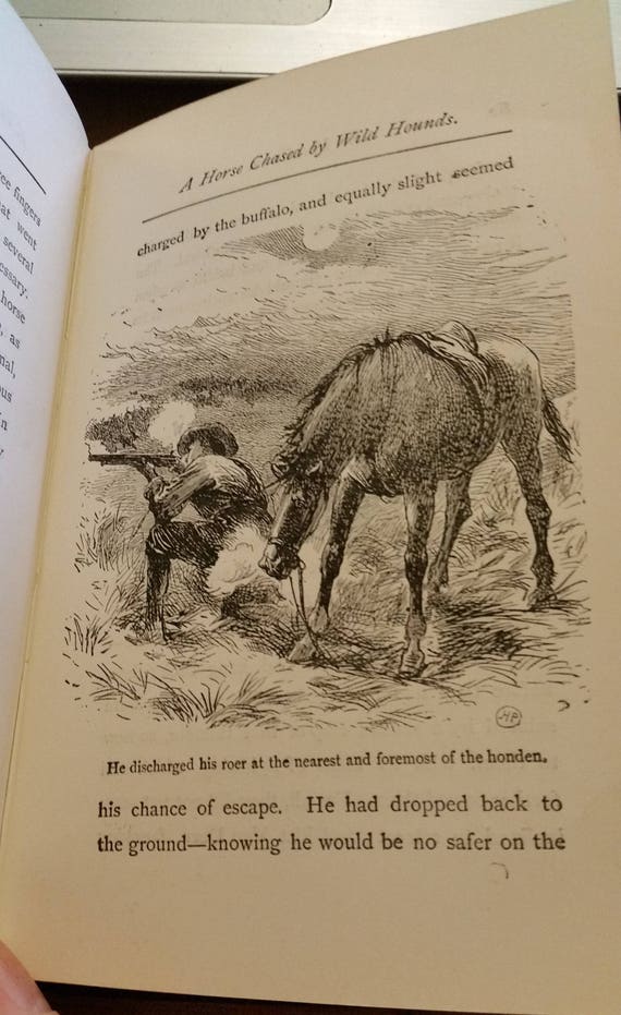 1898 The Vee Boers A Tale Of Adventure In Southern Africa Victorian Illustrated Hardback Book - 