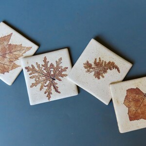 May include: Four square ceramic coasters with pressed leaf designs. The coasters feature a variety of leaves, including a maple leaf, a fern, and two different types of vine leaves. The coasters are a light beige color with brown leaf designs.