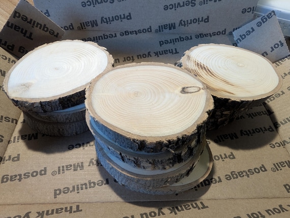 Assorted Live Edge Wood Round Slices cut from Maple Branches 2.5" to 4" in size (Pack of 10)