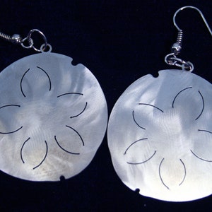 Little Sand Dollar Stainless Steel dangly Sea Creature Earrings
