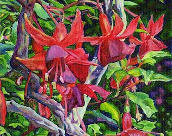 Giclee Canvas PRINT - Red Flower 5x7 - Hanging Fuchsia - Signed/Editioned