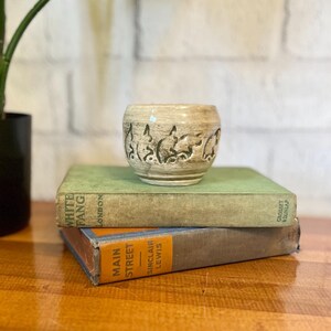 Peut inclure: Un petit bol en céramique beige avec un motif d'animaux sculptés. Le bol est posé sur deux livres anciens, dont un intitulé "White Fang". Un pot de plante avec de grandes feuilles vertes est en arrière-plan.
