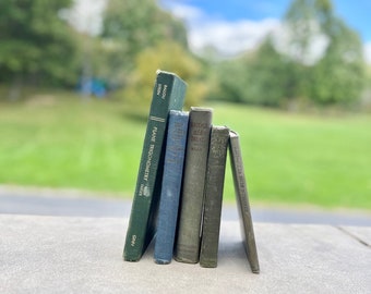 Könnte beinhalten: Ein Stapel von sechs alten gebundenen Büchern mit grünen und blauen Einbänden. Die Bücher sind in einer Reihe auf einer grauen Steinoberfläche angeordnet. Die Bücher tragen Titel wie "Plane Trigonometry" und "Calculus".