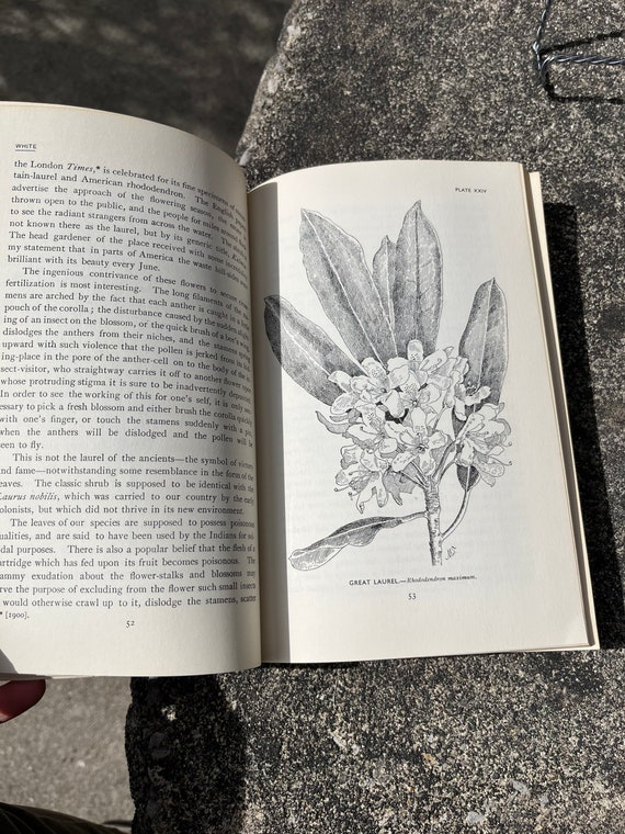 Vintage Paperback Book, 