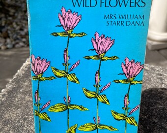 Vintage Paperback Book, 