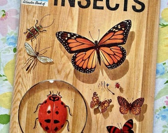 May include: The cover of a vintage children's book titled "The How and Why Wonder Book of Insects". The cover features a wooden background with a magnifying glass over a red ladybug. There are also illustrations of a monarch butterfly, a dragonfly, and other insects.